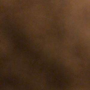 Meet your Posher, Stefanie